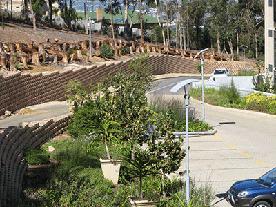 tygerberg-retaining-wall6