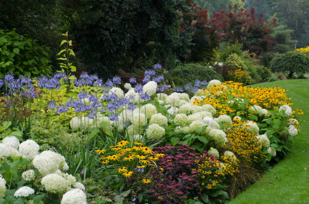 perennial garden