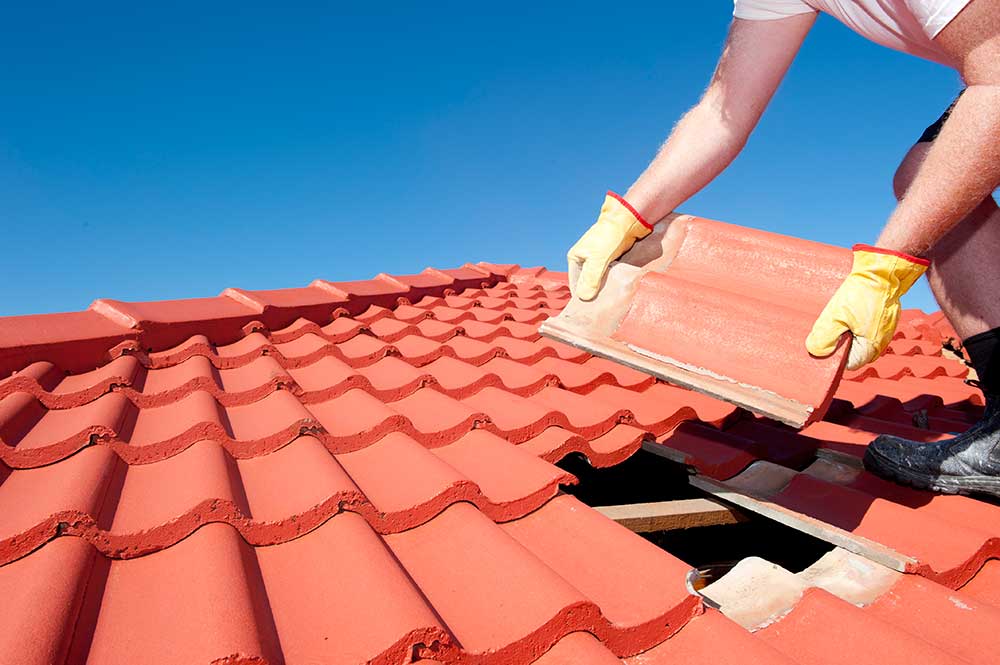 roofing contractor