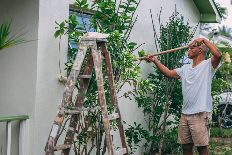 painting your house