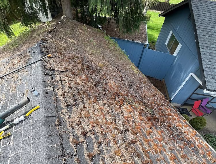 Why Pacific Northwest Roofs Fail Early: The Moss, Algae, and Ventilation Mistakes That Cost Homeowners Years