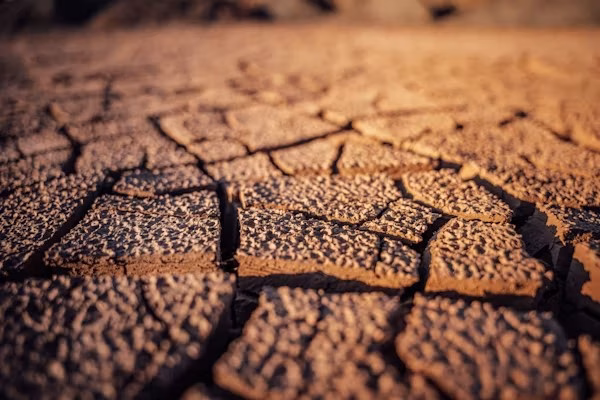 Erosion Control Keeps Handover Costs from Escalating