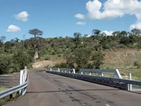trans-gambia-bridge
