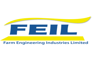 Logo FEIL