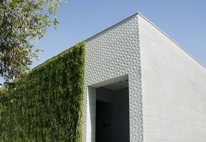 Lithos Design und grüne Wand