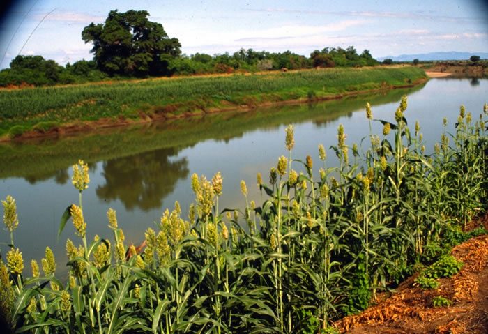 Actividades agrícolas a lo largo del río Omo Etiopía