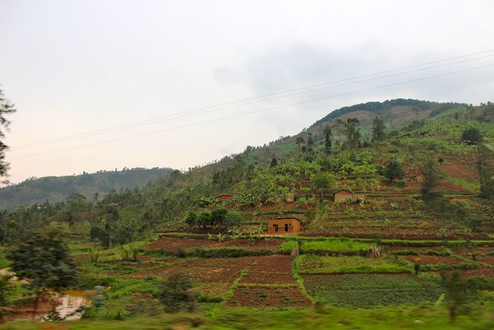 Ruanda recebe doação de US$ 15 milhões do Japão para um esquema de irrigação