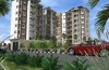 Zamia Heights Apartments
