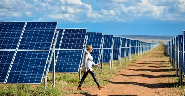 South Africa unveils newly constructed largest solar farm in southern hemisphere