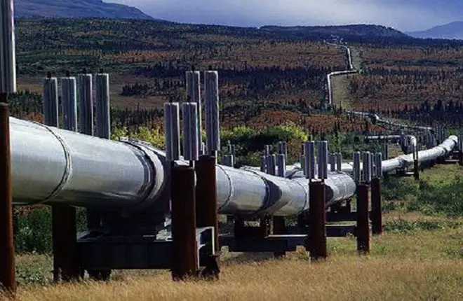 Construction of the Tanzanian-Ugandan oil pipeline on track