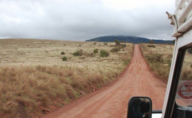 Tanzania to construct Serengeti road in next fiscal year