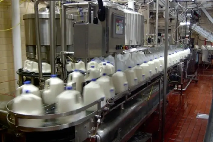 A Separate Milk Processing Factory