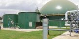 Africa’s first grid connected biogas farm in Kenya powers up