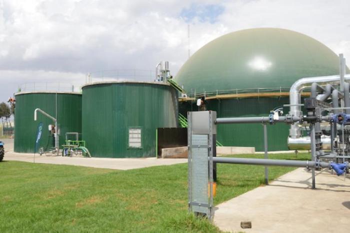 Africa’s first grid connected biogas farm in Kenya powers up