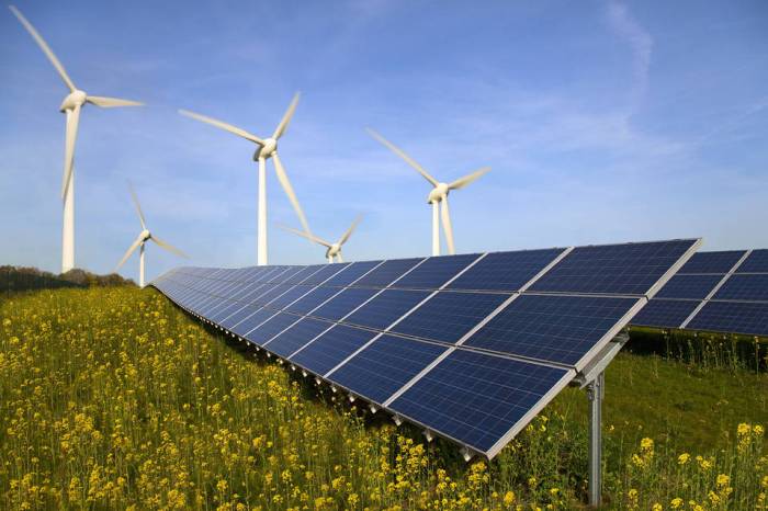 South African Renewable Energy Council fears for renewable energy sector