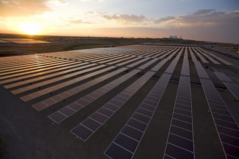 Maurício dá início ao projeto de fazenda fotovoltaica Henrietta Solar