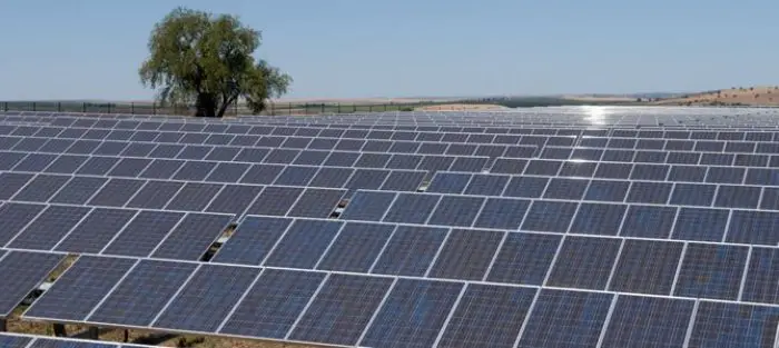 Dangote Industries,Blackstone to build 100 MW solar plant in Nigeria