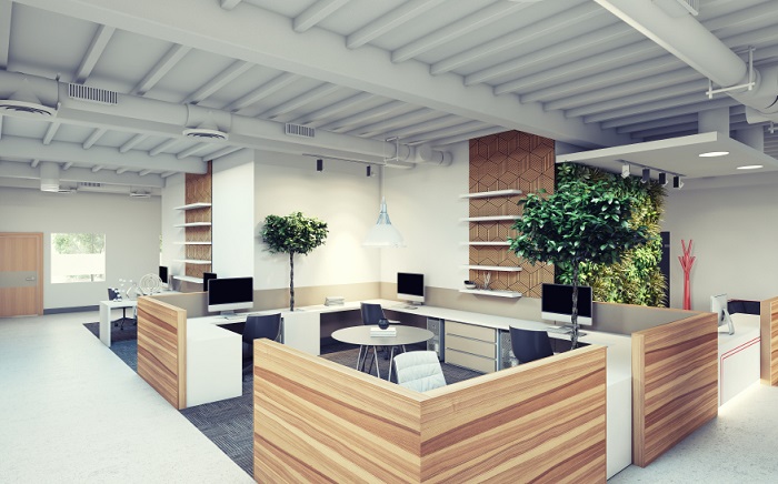 green office design with wood dividers