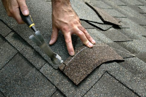 roof shingles maintenance