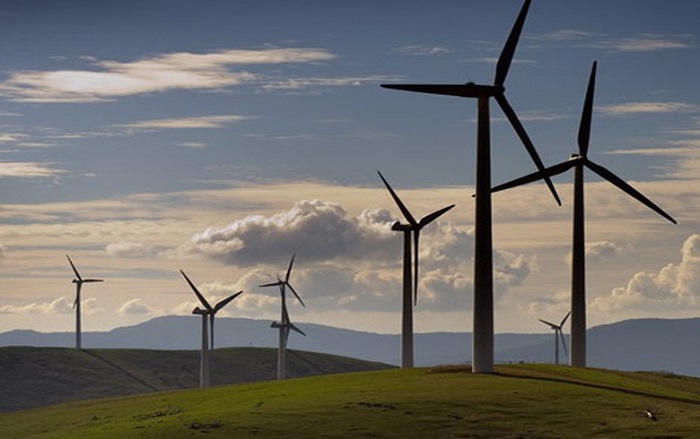 wind farm