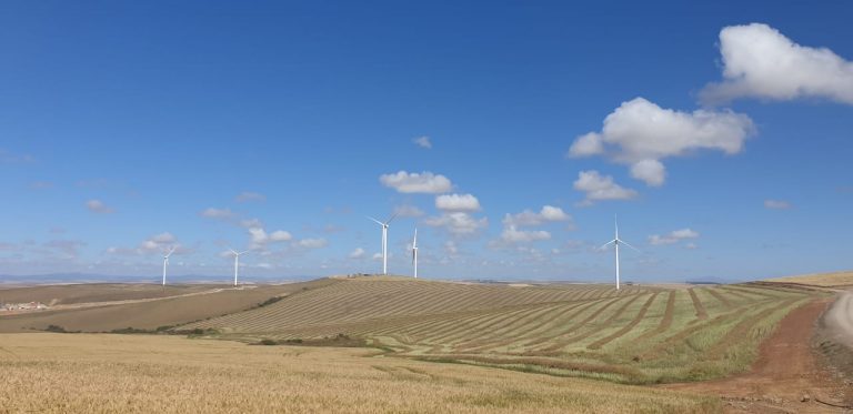 Excelsior Wind Energy Facility