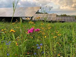 Kingwood Solar farm faces notice of intervention by Greene County, Ohio