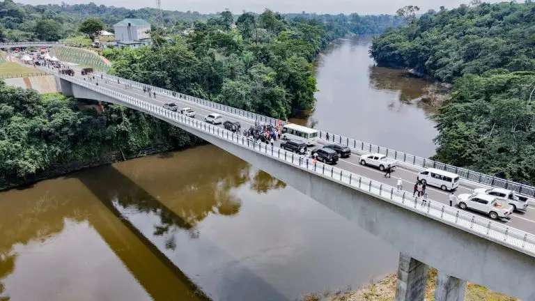 Nigeria-Cameroon border bridge commissioned