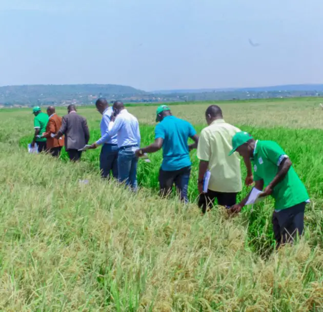 Projet d'expansion d'irrigation d'Anyiko-Ujwanga à Ugenya, au Kenya, en vue