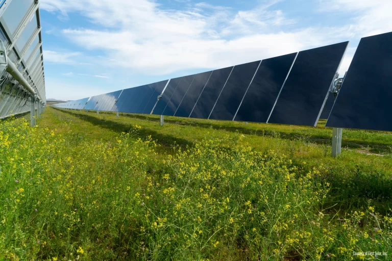 5-MW-Solarpark Maples Road erhält grünes Licht, Illinois