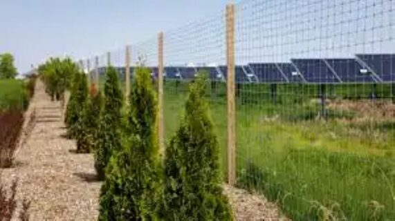 Bellflower Solar farm in Indiana as part of Verizon's sustainability goals