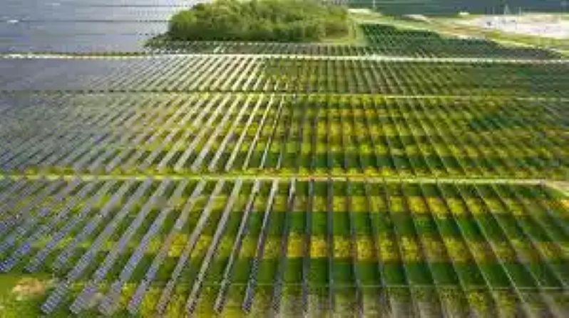 Bellflower Solar farm in Indiana as part of Verizon’s sustainability goals