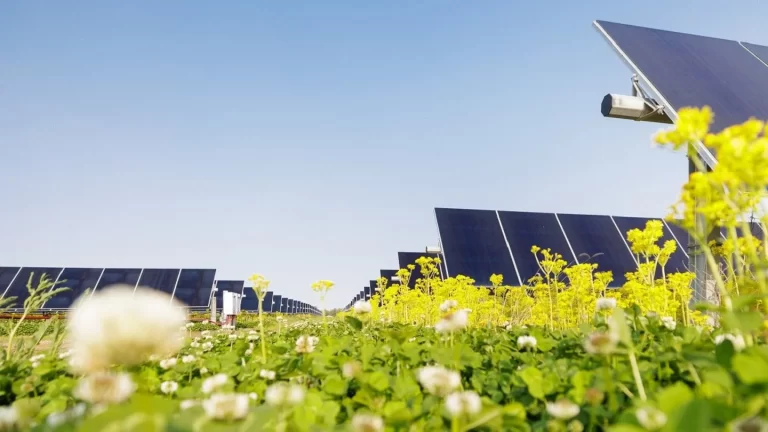 Der Betrieb der Bellflower Solar Farm in Indiana beginnt