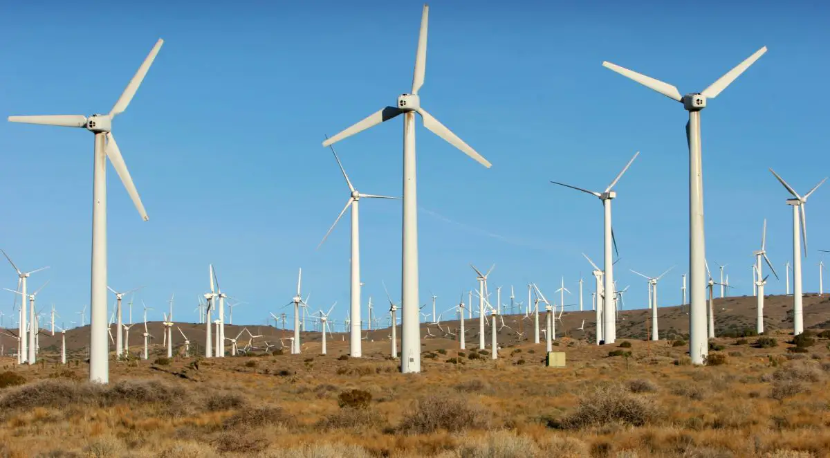 Polenergia prend le contrôle d'un portefeuille éolien roumain de 686 MW