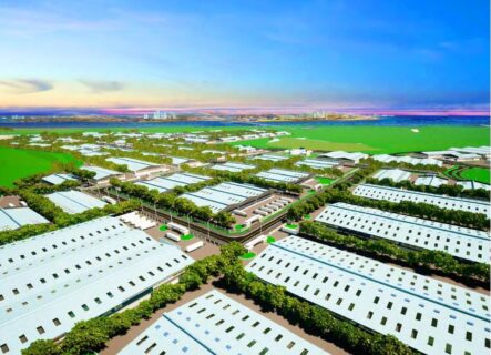 Dongo Kundu SEZ Berth