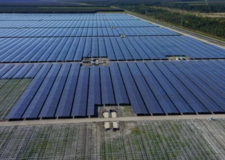 Neoen Italy Trio Solar Projects Move to Operation Backed by Equinix Data Centre PPA