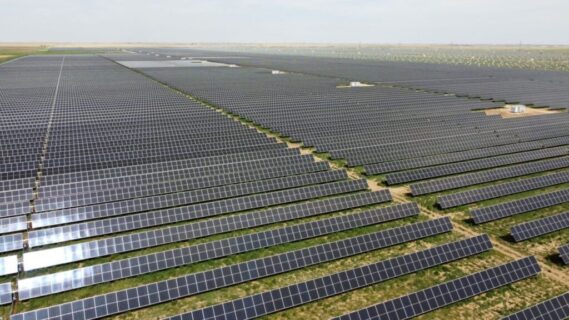 Hornet Solar Project Reaches Full Commercial Operation