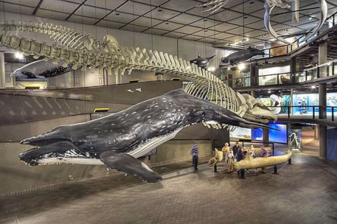 Top 10 Biggest Museum