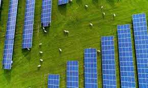 Oak Run Solar is set to become the largest agrivoltaic farm in the U.S., combining clean energy with farming in Ohio