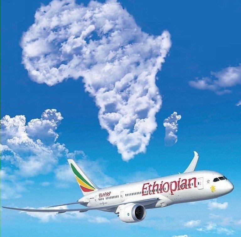 Africa's Largest Airlines