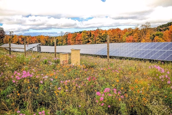 The 3.6 MW Constable Agrivoltaic Solar Project in New York