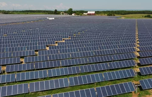 Solar panels at Sunfish Solar 2