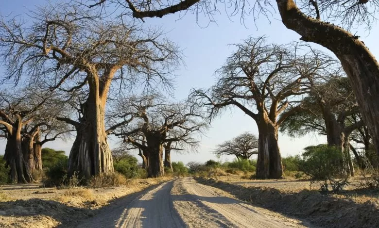 Iringa-Msembe Road Project