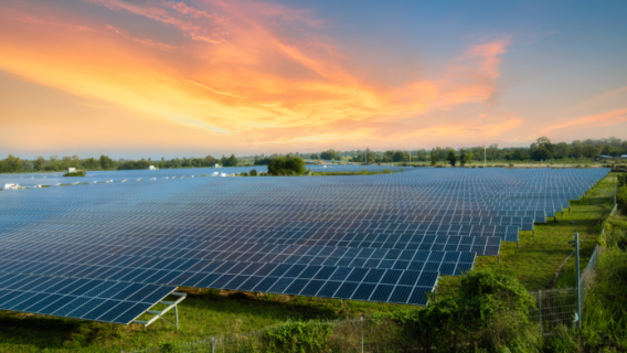 The project aims to benefit over 1,000 people living in the Kaptagat landscape by providing sustainable energy solutions and improving livelihoods through climate-smart agriculture and biogas production.