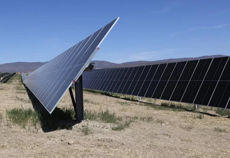 A solar farm