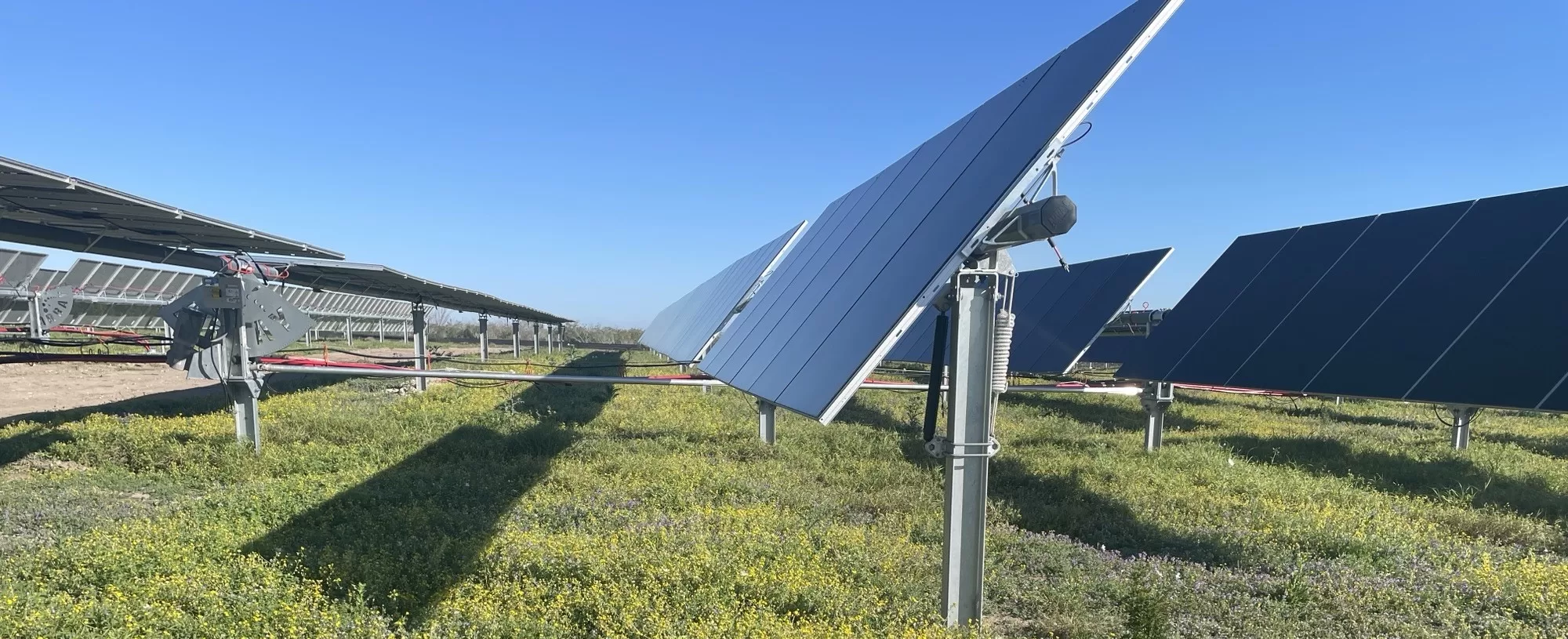 Solar panels at the Starr Solar project