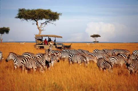 Serengeti International Airport Project
