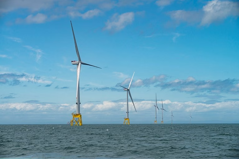 An offshore wind farm