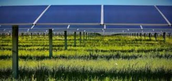 Ferrovial to Develop $355M Solar Facility in Milam County, Texas