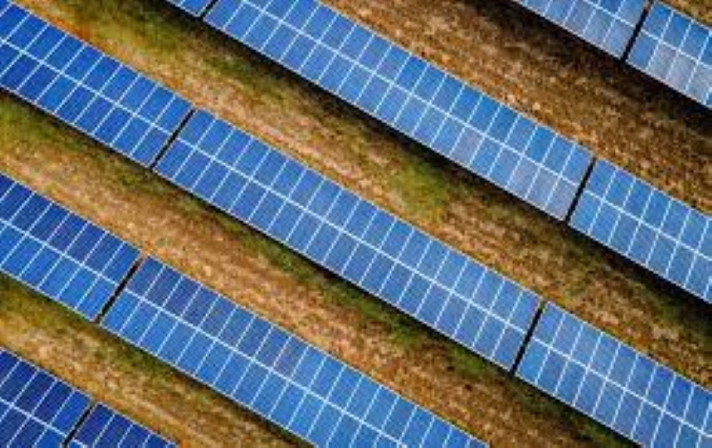 A Look at Ferrovial $355M Solar Facility in Milam County, Texas