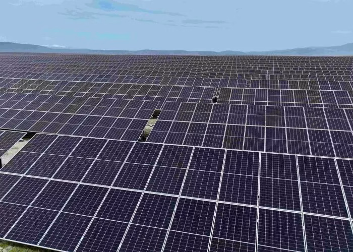 The Cider Solar Farm